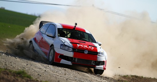 Testy Polo Proto